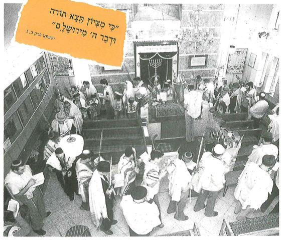 (בספר ציור של דג)